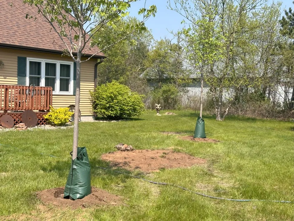 Reliable garden landscaping for outdoor upgrades across Brodhead, WI - Abide R.E. Solutions