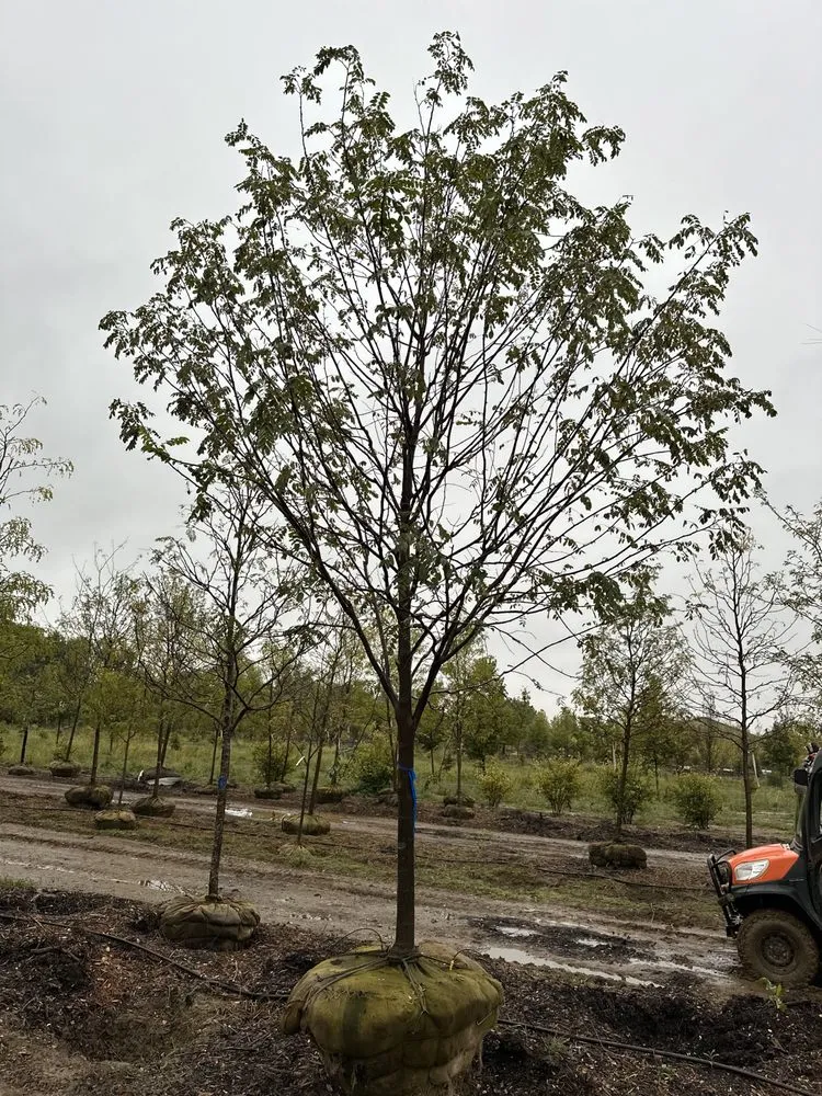 Trusted landscaping services for homes in Brodhead, WI by Abide R.E. Solutions