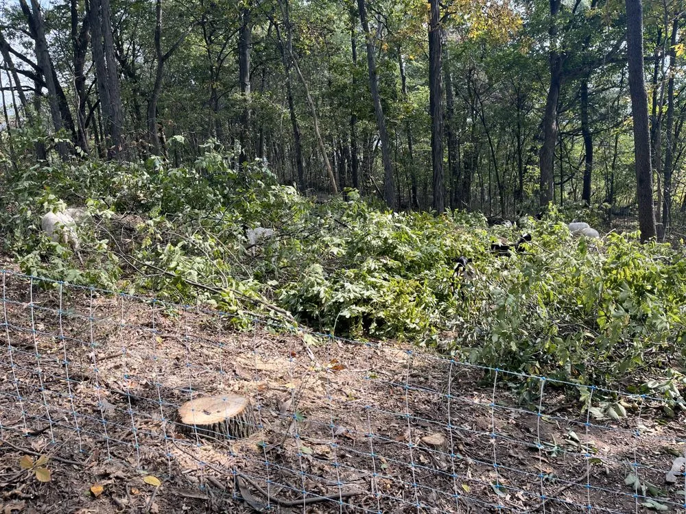 Top-rated landscape design in Brodhead, WI by Abide R.E. Solutions