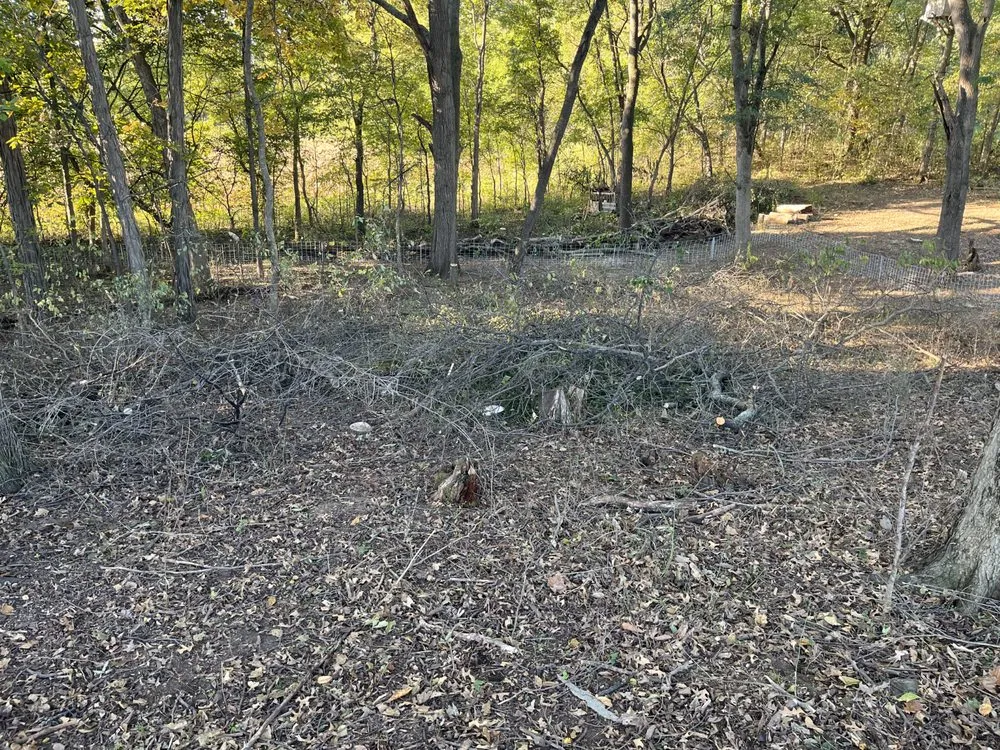 Local lawn mowing service in Brodhead, WI by Abide R.E. Solutions