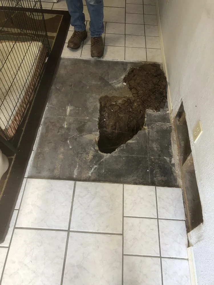 Expert landscape installation in Arlington, TX - Abides Construction