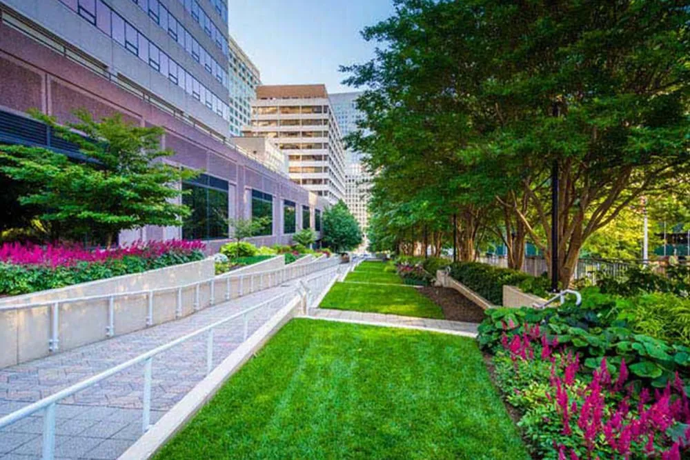 Expert yard cleanup service for outdoor upgrades in North Plainfield, NJ by Abiel Gonzalez Landscaping