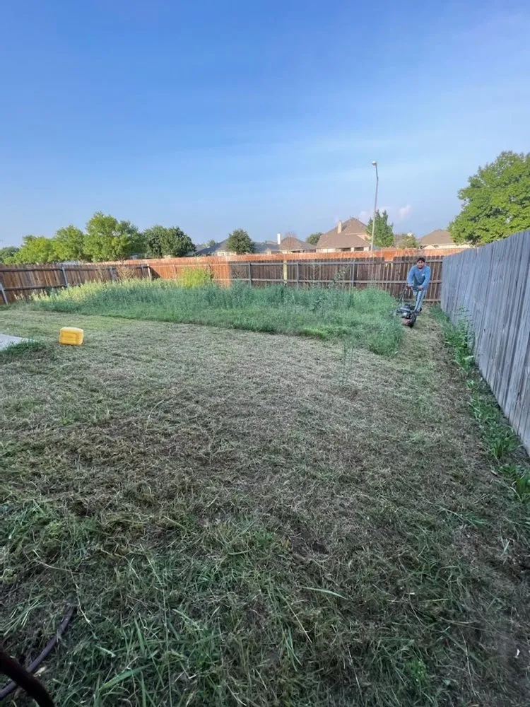 Affordable landscape design in Abilene, TX - Abilene Home Service