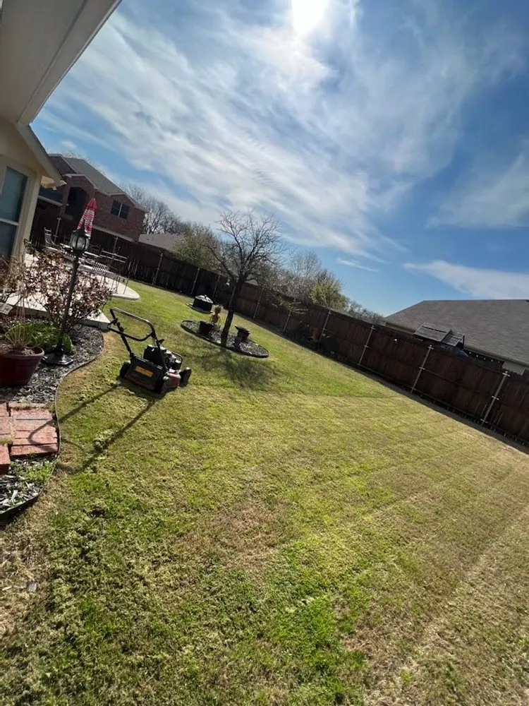 Local landscape installation experts serving Abilene, TX - Abilene Home Service