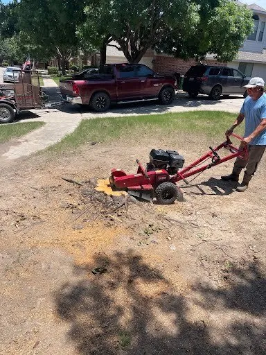 Professional landscape design in Abilene, TX by Abilene Home Service