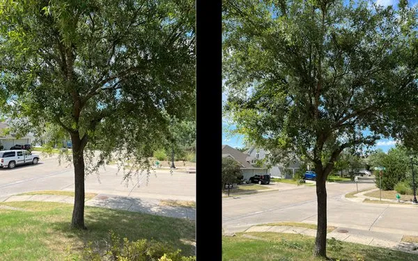 Abilene Home Service Logo