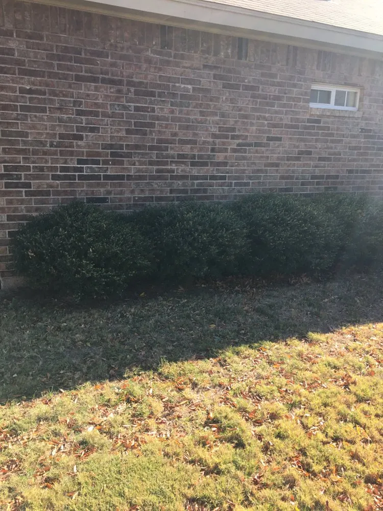 Affordable garden landscaping in Abilene, TX by Abilene’s Lawns for Less