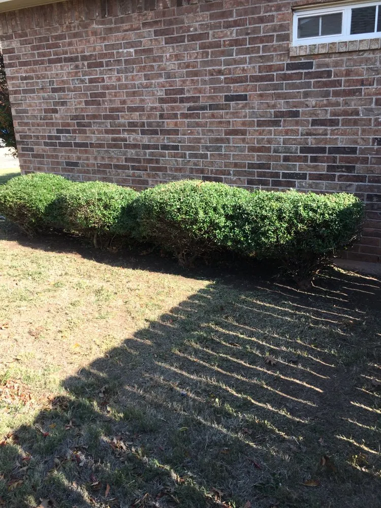 Custom landscape installation experts serving Abilene, TX - Abilene’s Lawns for Less