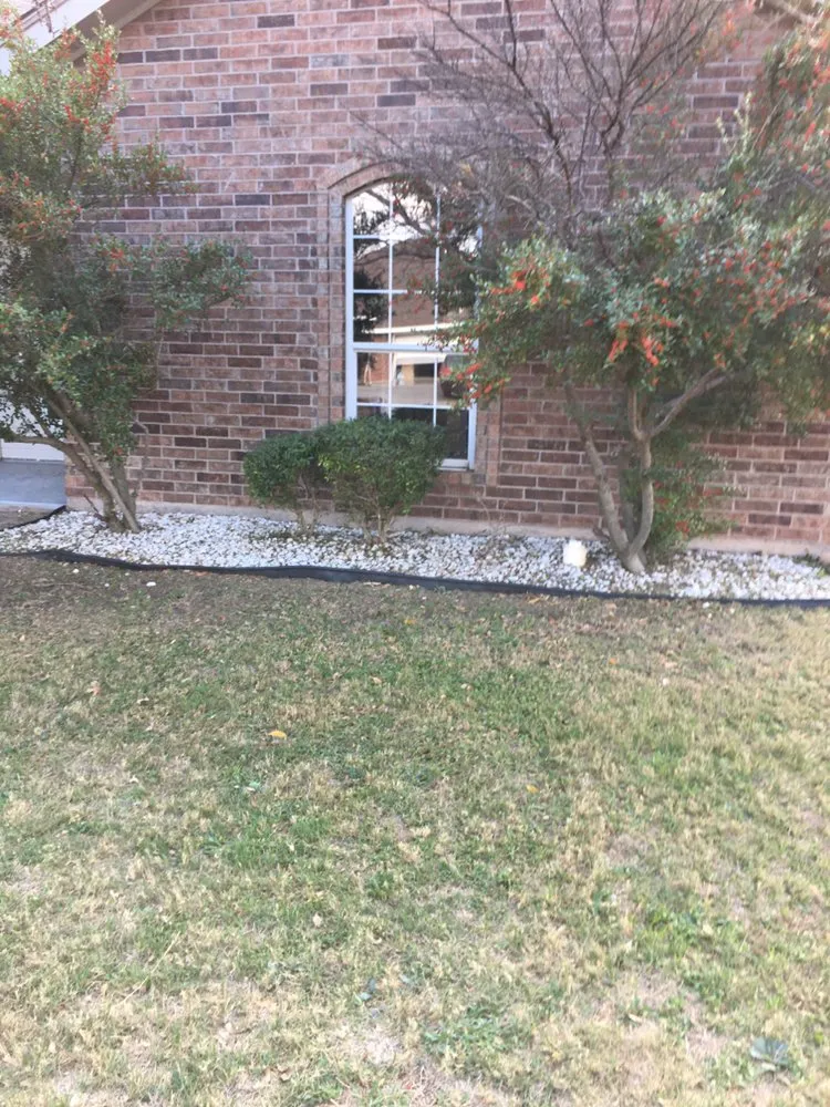 Trusted yard maintenance for beautiful yards across Abilene, TX - Abilene’s Lawns for Less