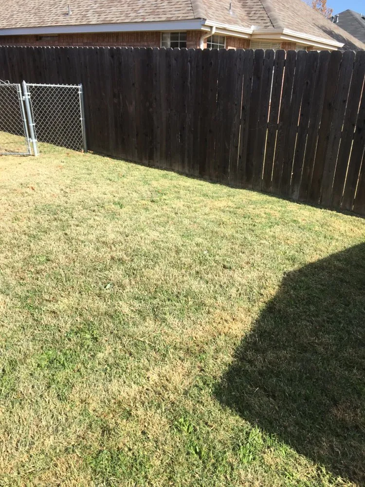 Professional landscape installation for outdoor upgrades across Abilene, TX - Abilene’s Lawns for Less