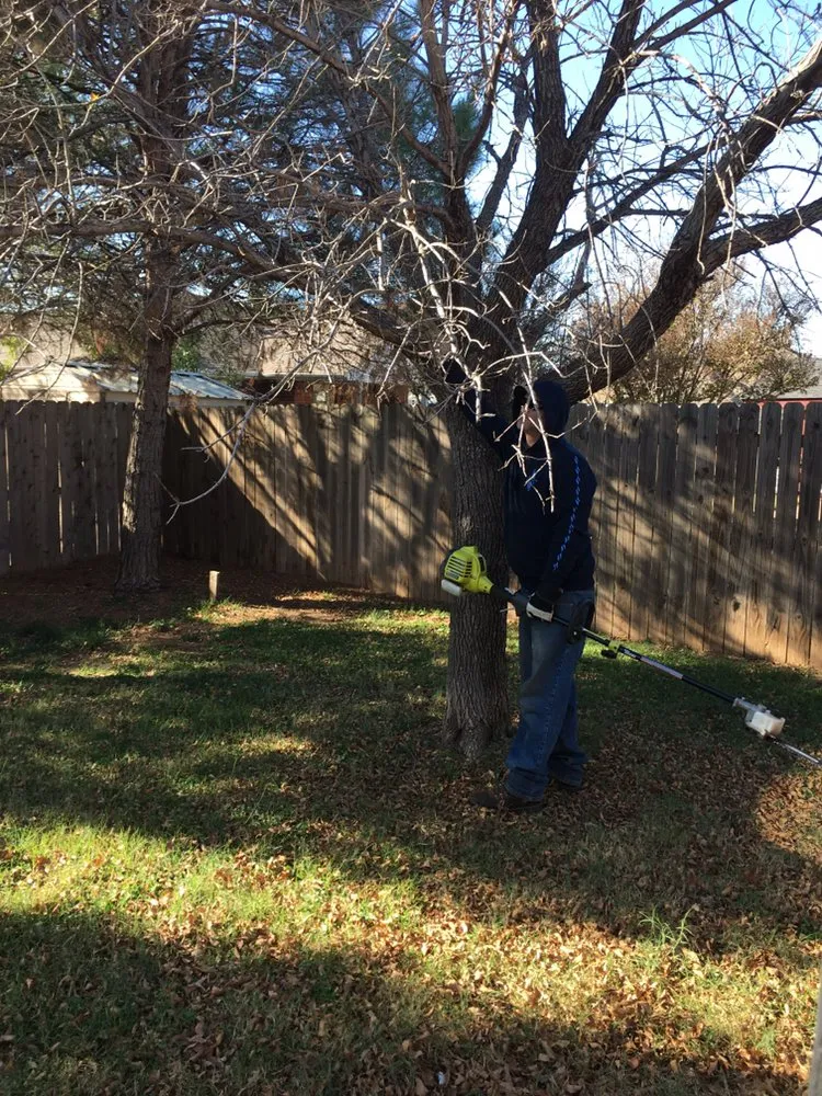 Professional outdoor landscaping in Abilene, TX by Abilene’s Lawns for Less