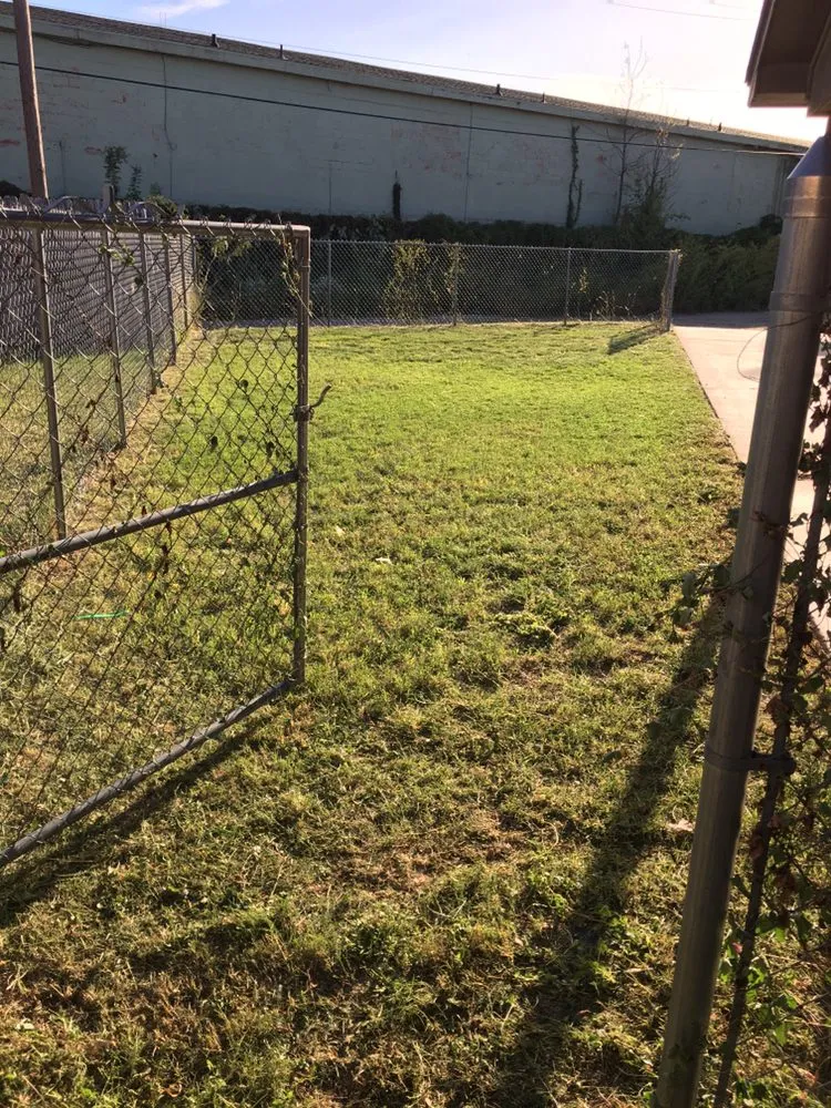 Professional yard cleanup service in Abilene, TX - Abilene’s Lawns for Less