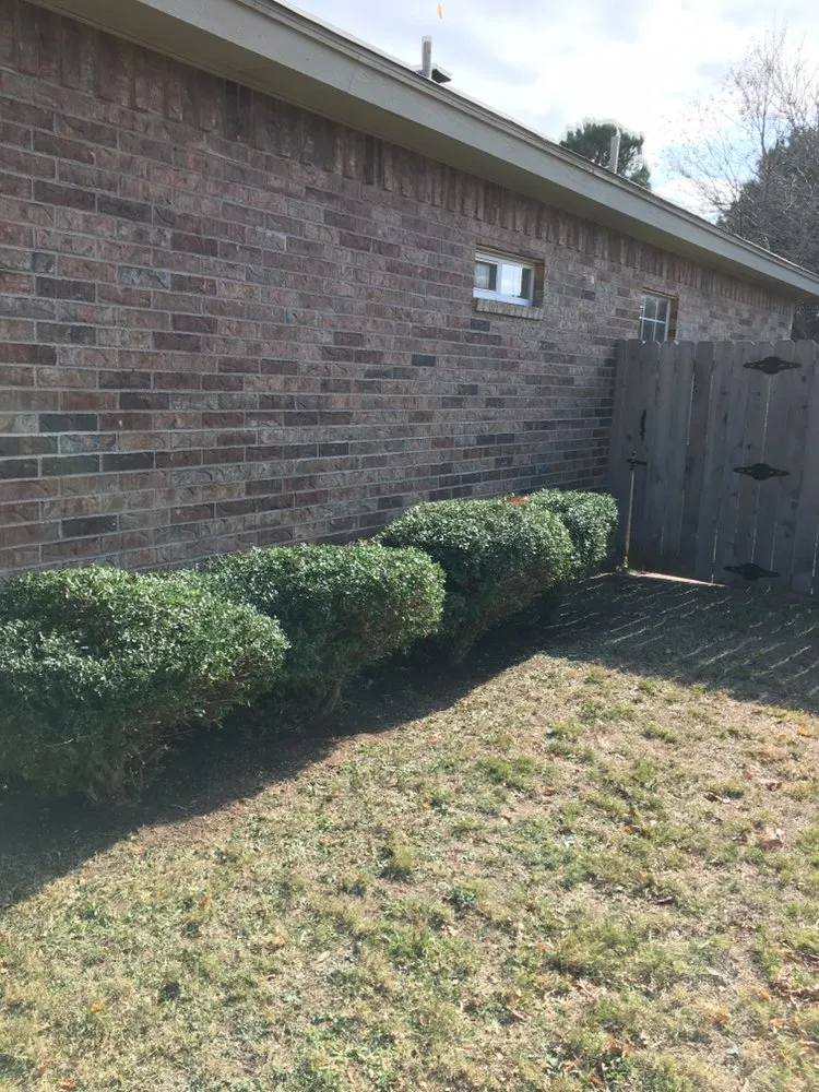 Local landscape design with custom design in Abilene, TX by Abilene’s Lawns for Less