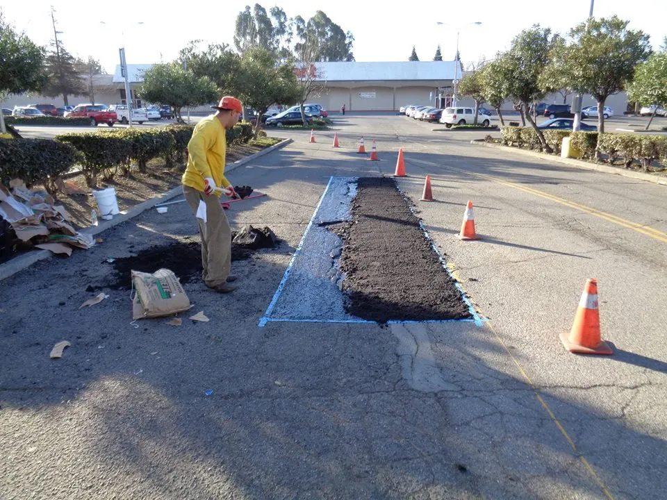 Reliable lawn care service in San Lorenzo, CA by Ability Maintenance