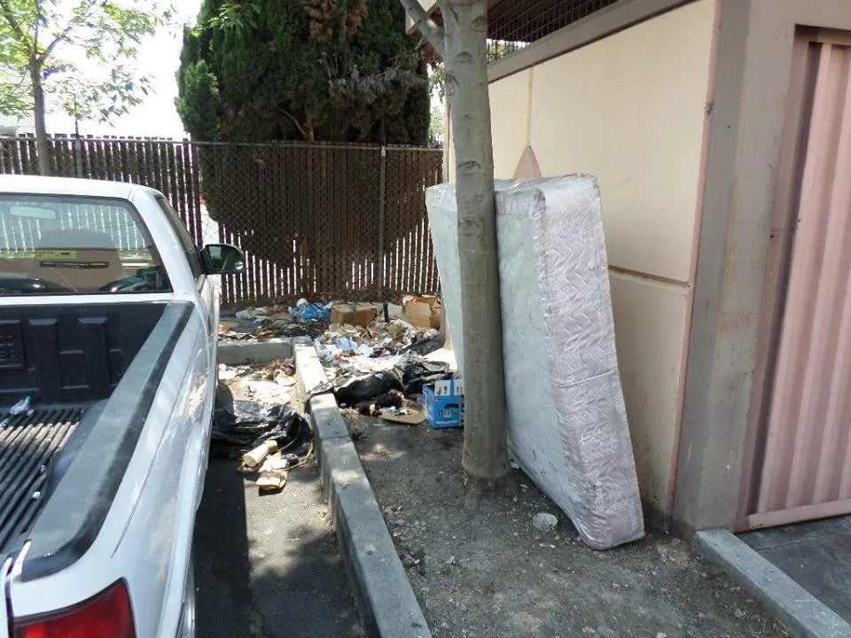 Reliable outdoor landscaping in San Lorenzo, CA - Ability Maintenance