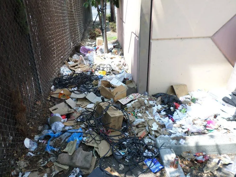 Professional lawn care service experts serving San Lorenzo, CA - Ability Maintenance