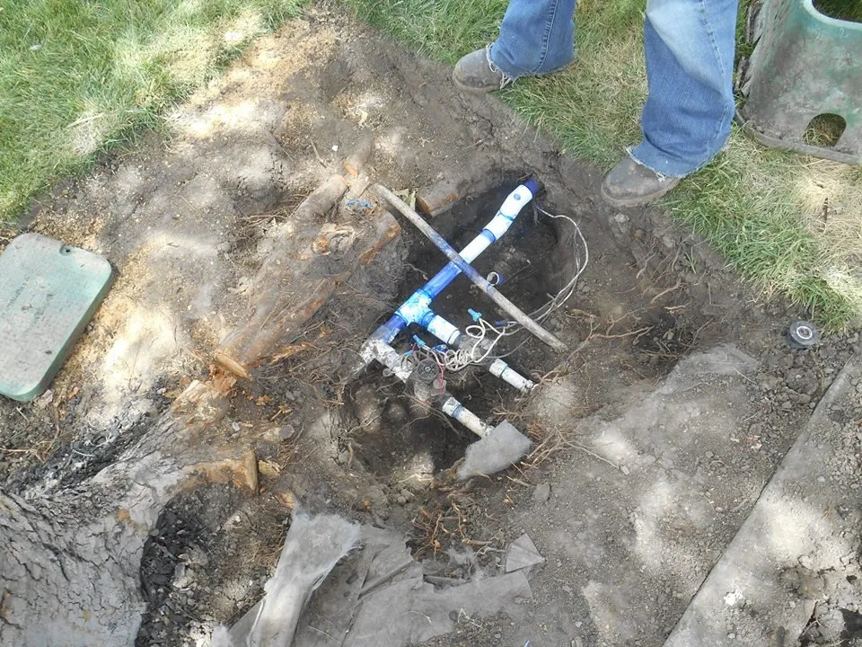 Custom lawn mowing service in San Lorenzo, CA - Ability Maintenance