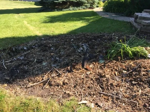 Local outdoor landscaping with custom design in Spring Grove, IL by Ability's Affordable Tree Service