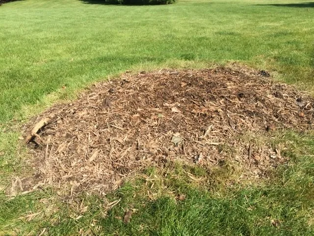 Trusted residential landscaping in Spring Grove, IL - Ability's Affordable Tree Service