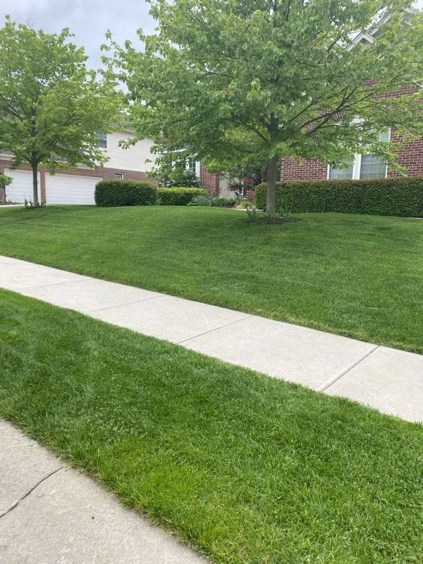 Affordable landscape design in Lawrence, IN by Abimo Heart