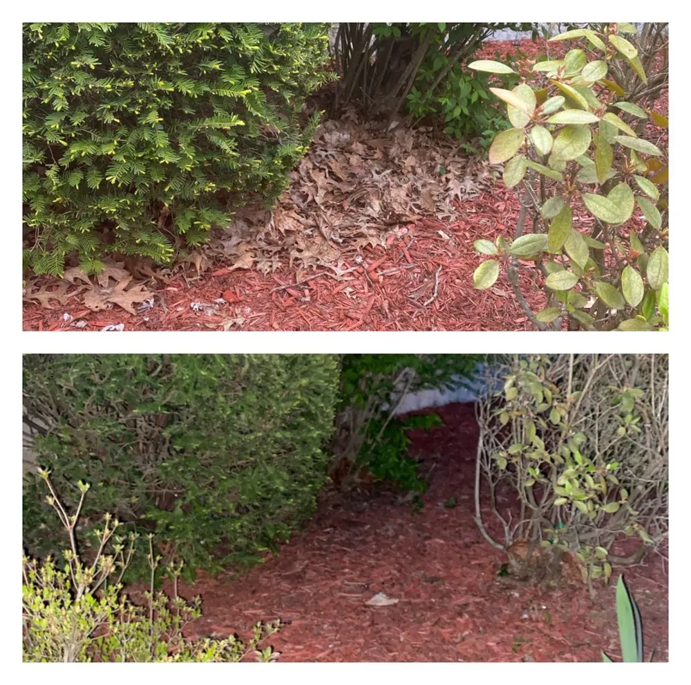 Top-rated outdoor landscaping experts serving Lawrence, IN - Abimo Heart