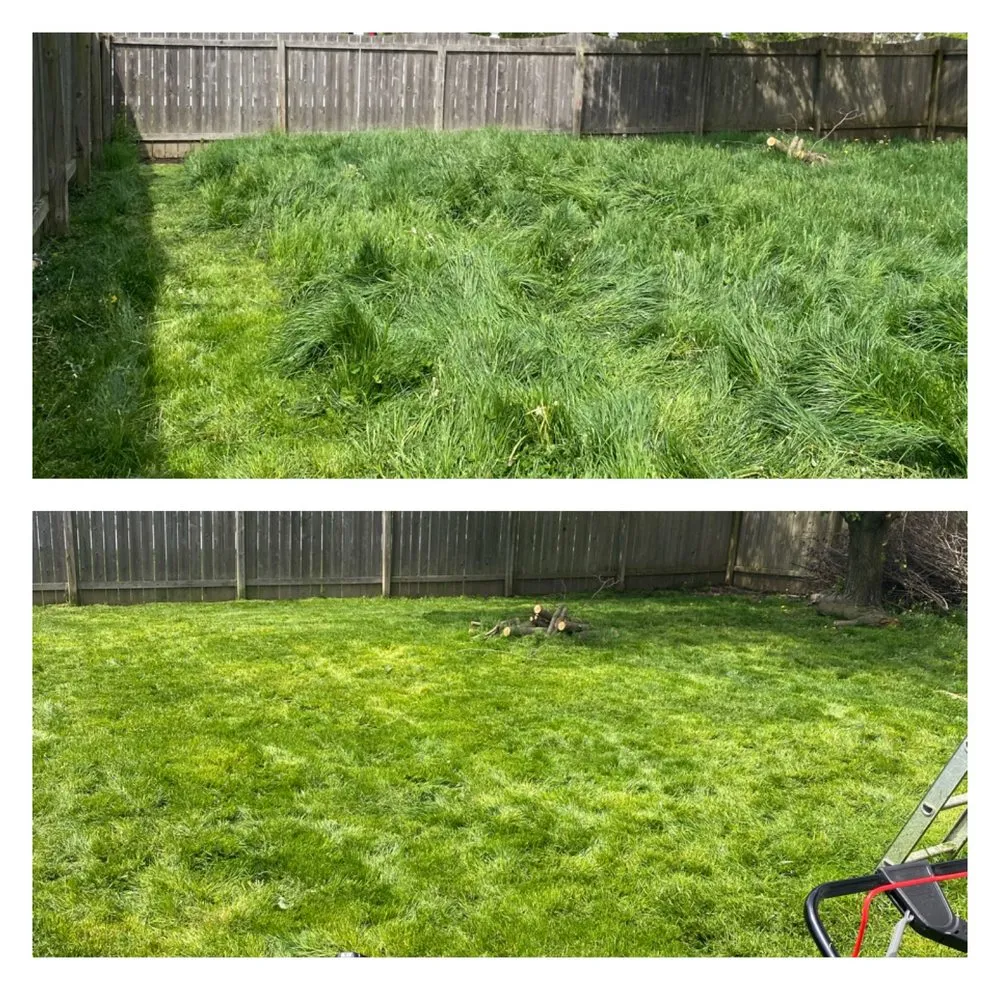 Trusted yard maintenance in Lawrence, IN - Abimo Heart