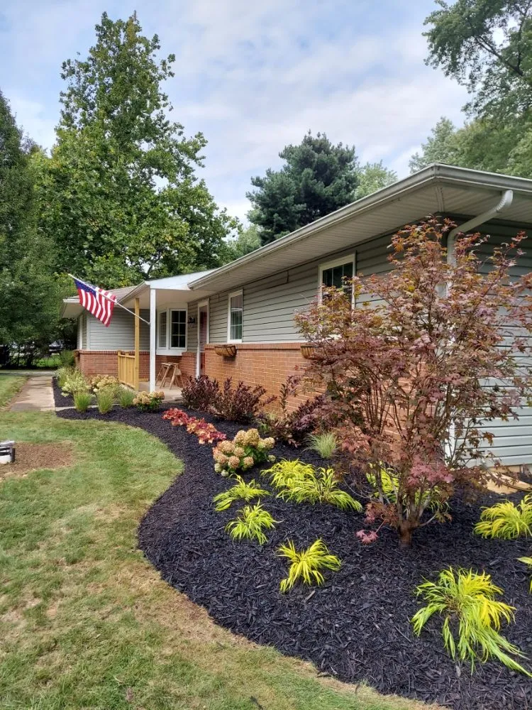 Trusted yard cleanup service in Galloway, OH - Abix
