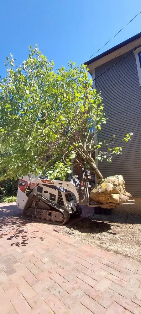 Trusted outdoor landscaping experts serving Galloway, OH - Abix