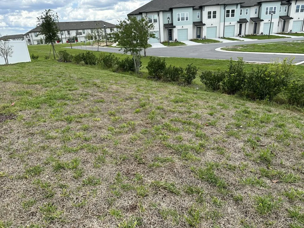 Custom lawn mowing service in Davenport, FL by ABJ Custom Cleaning Solutions