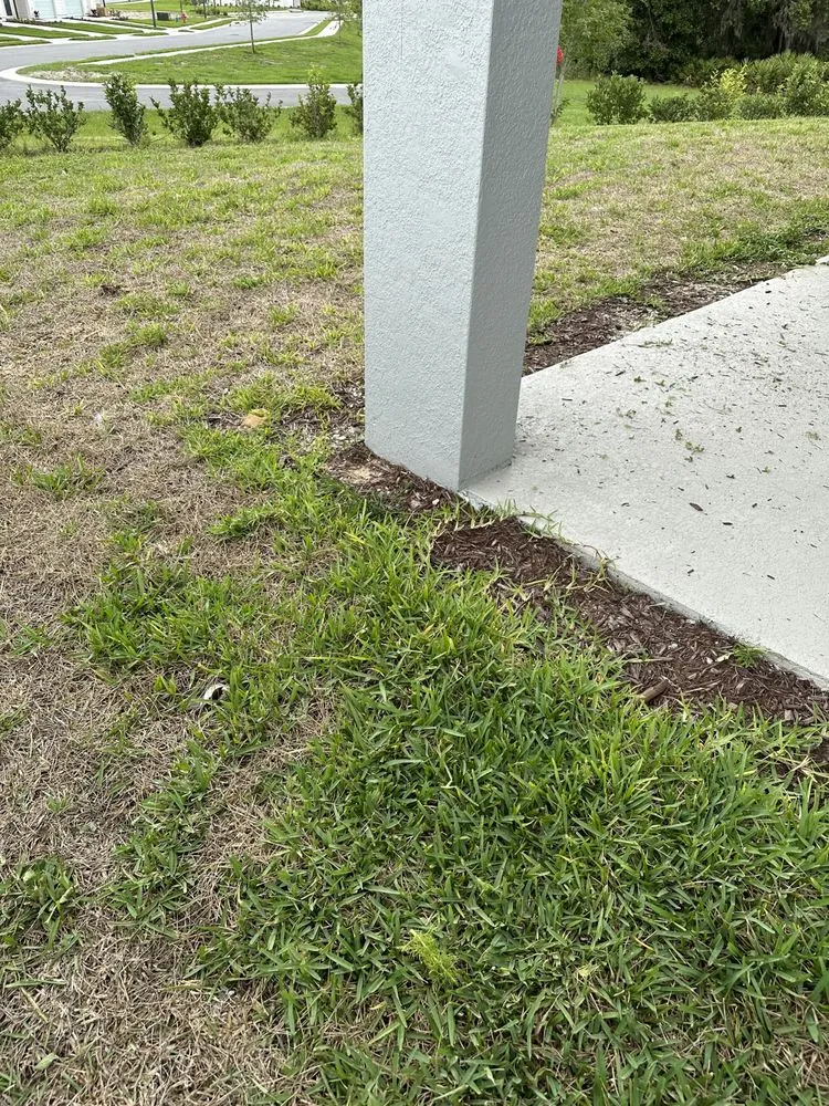 Reliable yard maintenance experts serving Davenport, FL - ABJ Custom Cleaning Solutions