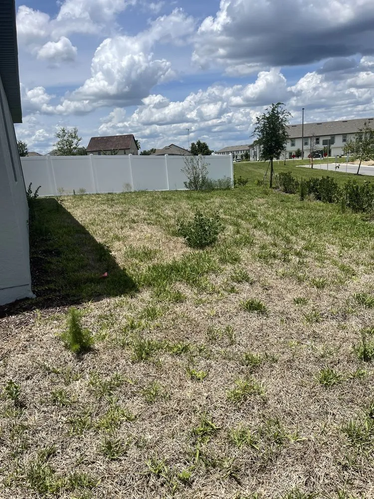 Professional lawn care service in Davenport, FL by ABJ Custom Cleaning Solutions