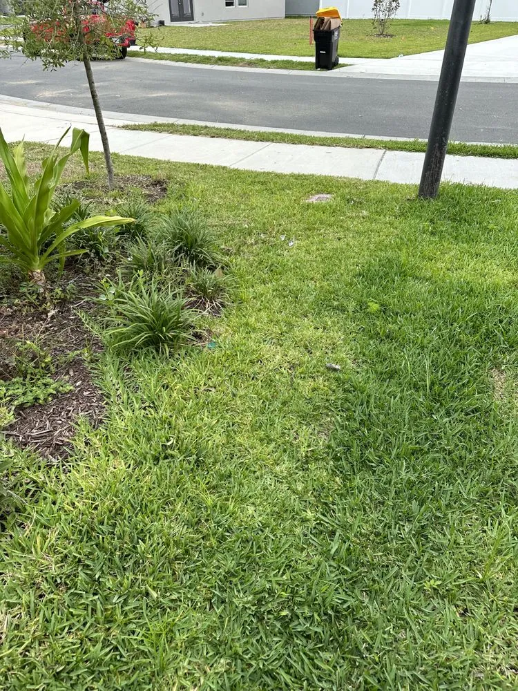 Custom landscape design in Davenport, FL - ABJ Custom Cleaning Solutions