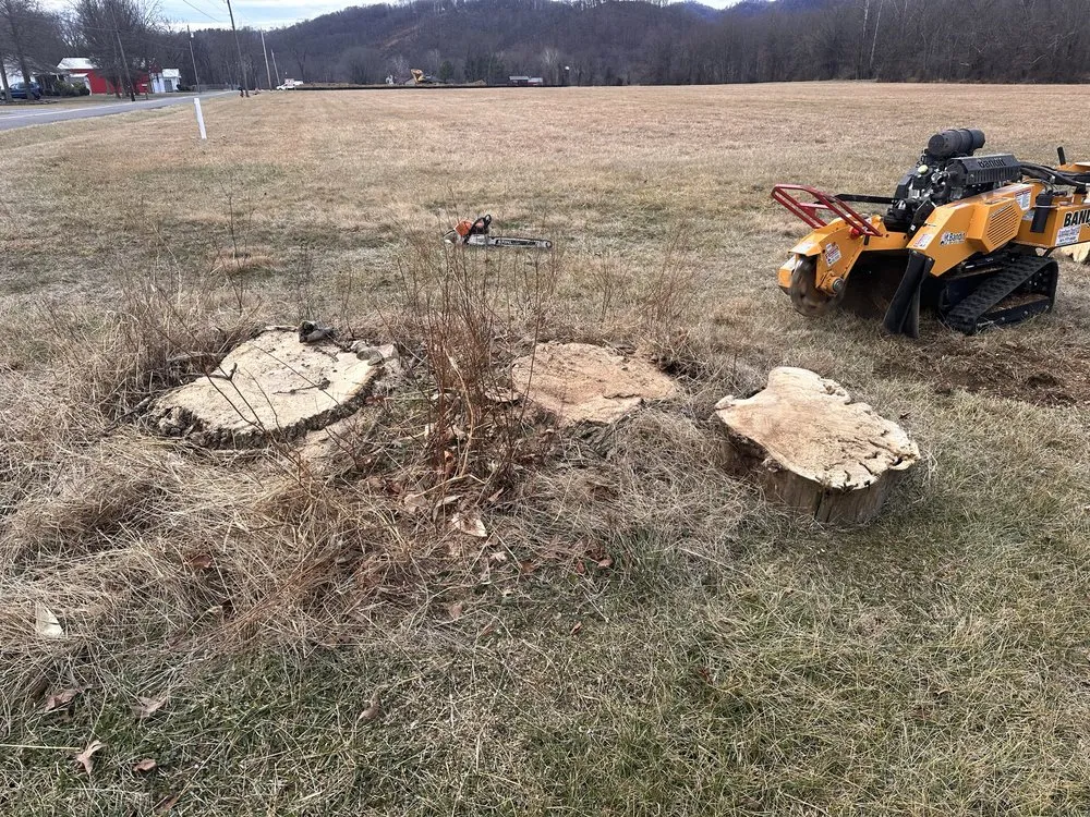 Expert landscaping services in Frostburg, MD by ABL Land Improvements