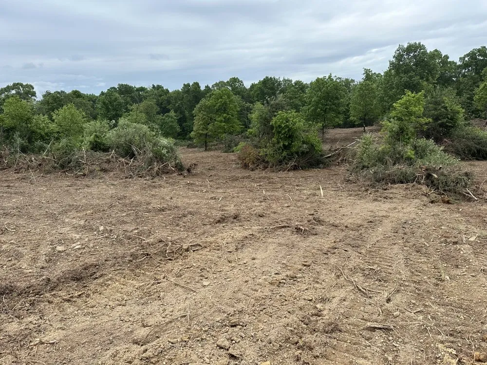 Trusted yard cleanup service in Frostburg, MD by ABL Land Improvements