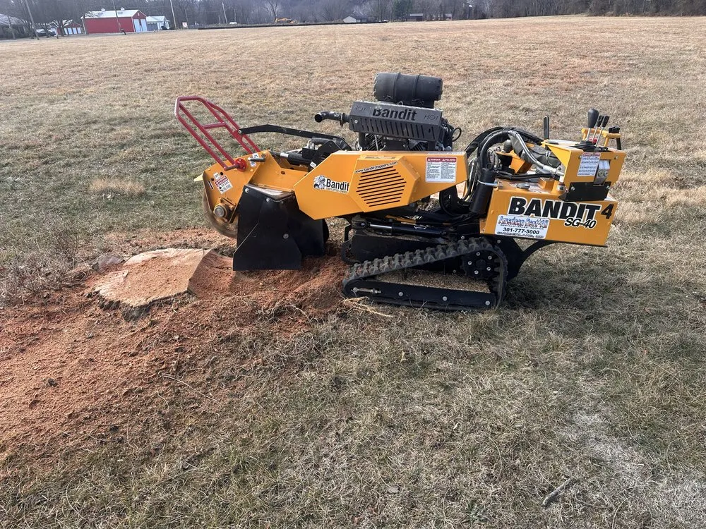 Custom residential landscaping experts serving Frostburg, MD - ABL Land Improvements