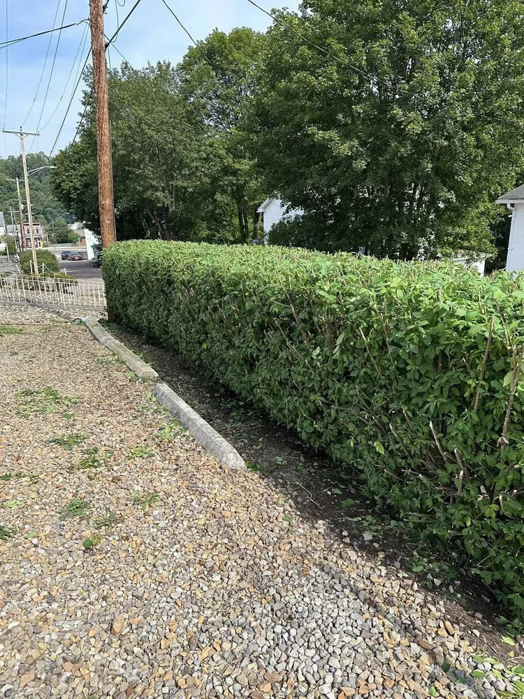 Local landscape installation experts serving Frostburg, MD - ABL Land Improvements