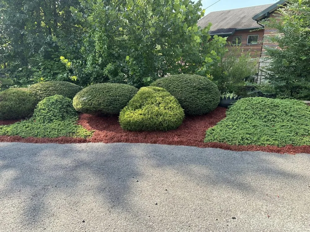 Local lawn care service experts serving Frostburg, MD - ABL Land Improvements