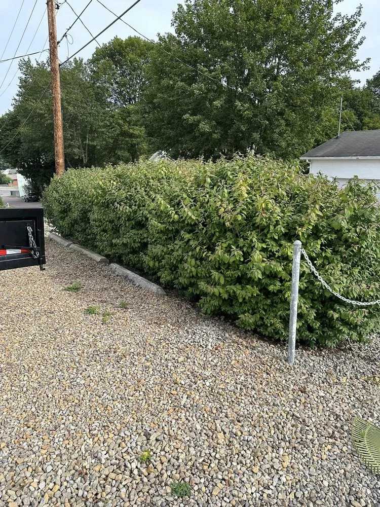 Local landscape installation for year-round maintenance across Frostburg, MD - ABL Land Improvements