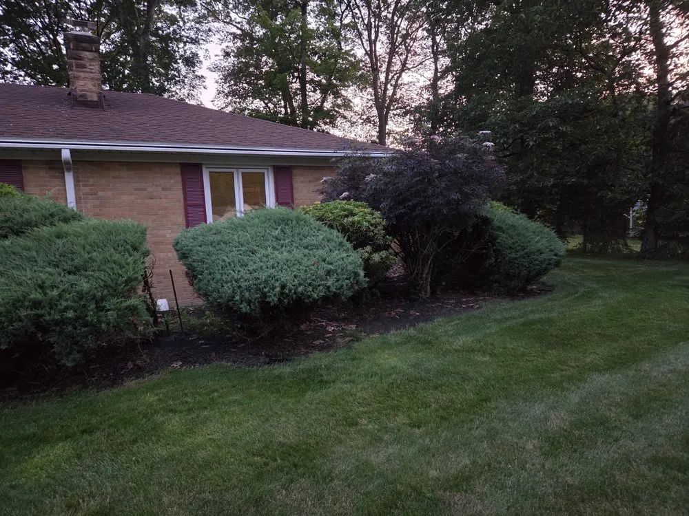 Top-rated yard cleanup service for year-round maintenance across Euclid, OH - ABL landscaping