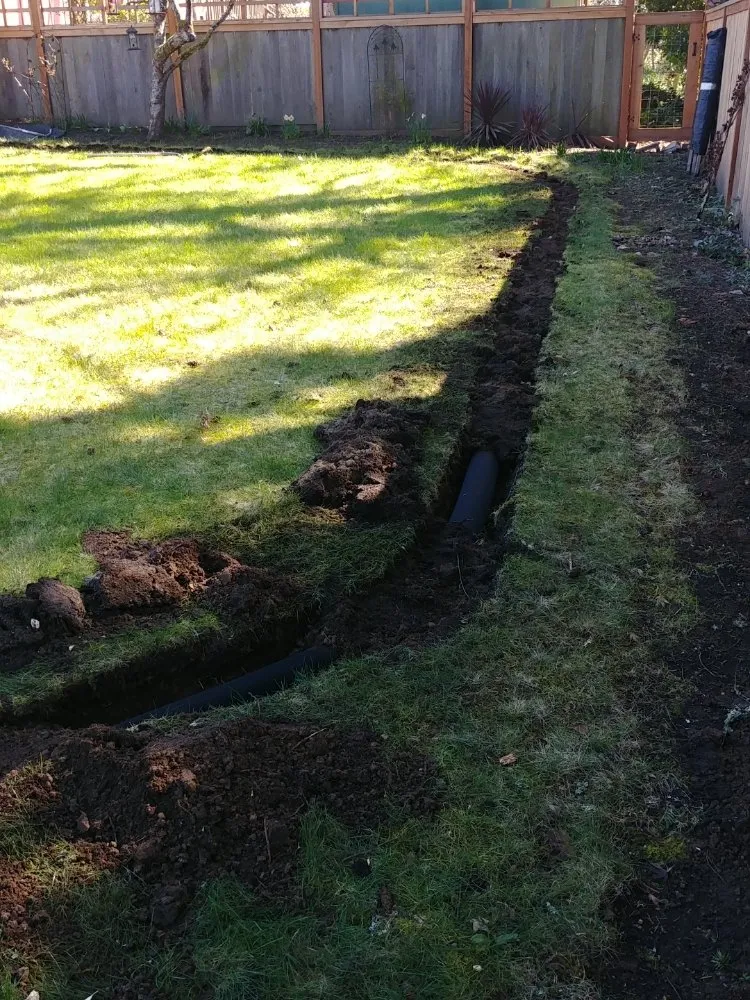 Expert lawn care service experts serving Eugene, OR - ABL MN