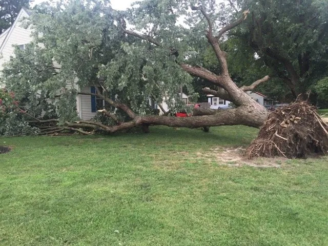 Affordable garden landscaping for outdoor upgrades across Seaford, DE - Able & Ready Services