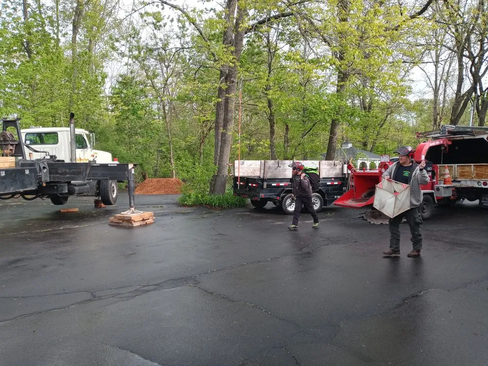 Local yard maintenance for outdoor upgrades in Perkasie, PA by Able Brothers Tree And Plant Health Care