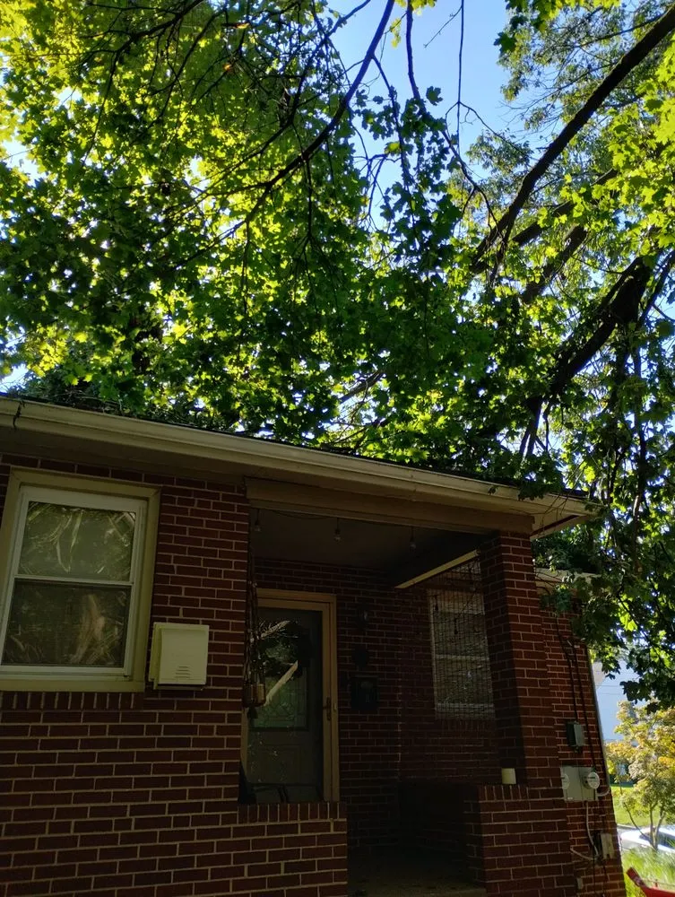 Expert lawn mowing service experts serving Perkasie, PA - Able Brothers Tree And Plant Health Care