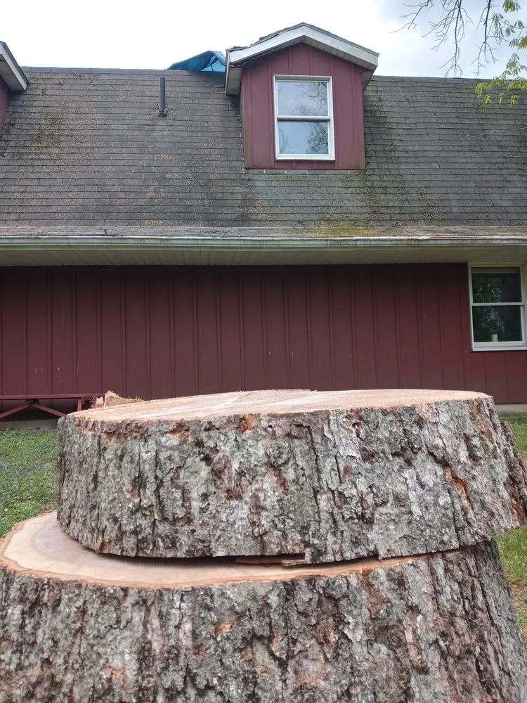 Expert yard maintenance in Perkasie, PA - Able Brothers Tree And Plant Health Care