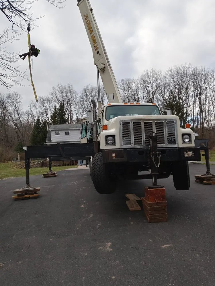 Custom yard maintenance for residential properties in Perkasie, PA by Able Brothers Tree And Plant Health Care