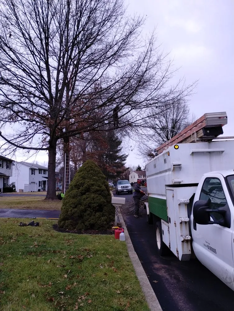 Reliable landscape design in Perkasie, PA by Able Brothers Tree And Plant Health Care