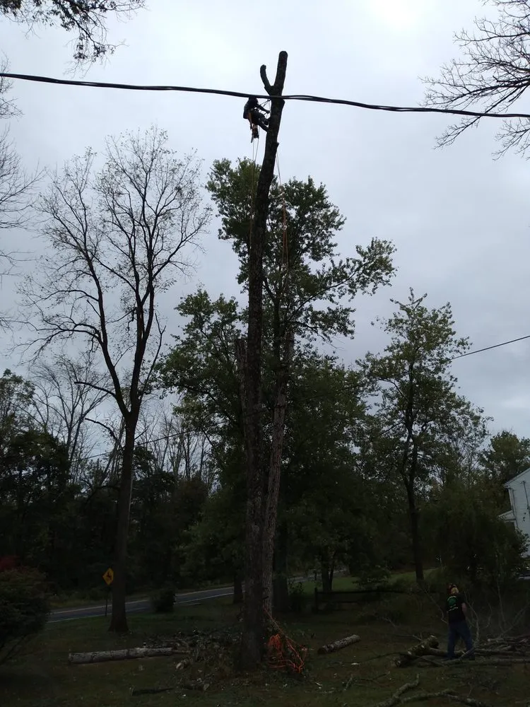 Reliable landscape installation experts serving Perkasie, PA - Able Brothers Tree And Plant Health Care