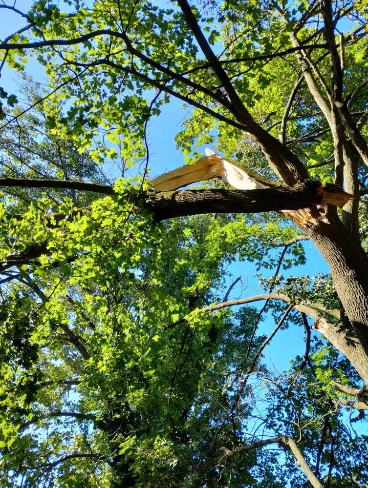 Custom garden landscaping for year-round maintenance across Perkasie, PA - Able Brothers Tree And Plant Health Care