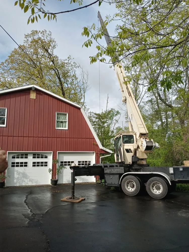 Local yard cleanup service in Perkasie, PA - Able Brothers Tree And Plant Health Care