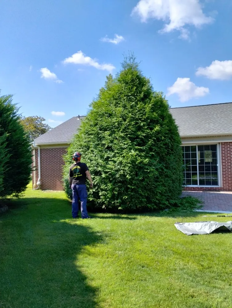Trusted garden landscaping for beautiful yards in Perkasie, PA by Able Brothers Tree And Plant Health Care